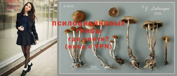 MDMA Premium VHQ Кодинск