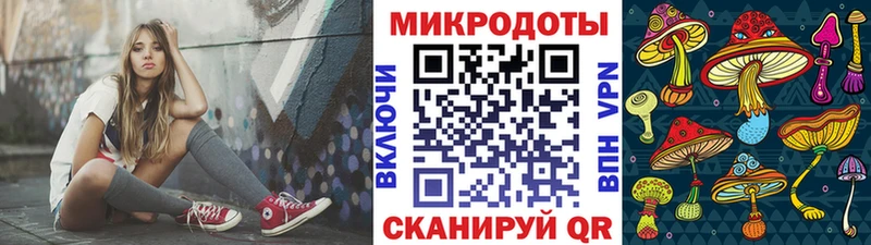 Галлюциногенные грибы Psilocybine cubensis  Купить где  Сурск 
